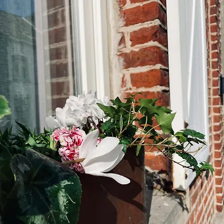 Les Volets Blancs Bed & Breakfast *